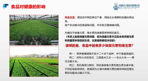 跨越隱形饑餓，點亮健康未來 硒鍶硅鋅營養健康食品項目與生態旅游開發協同發展計劃